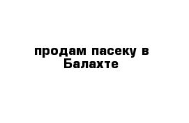 продам пасеку в Балахте